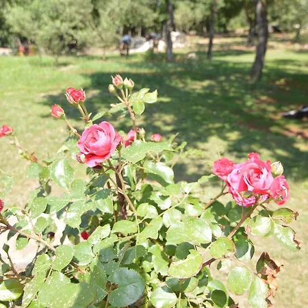 Отель Natura 3*